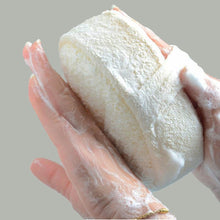 Load image into Gallery viewer, Eco Massage Brush